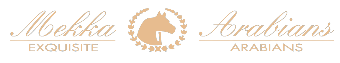 logo_mekka__002_-removebg-preview